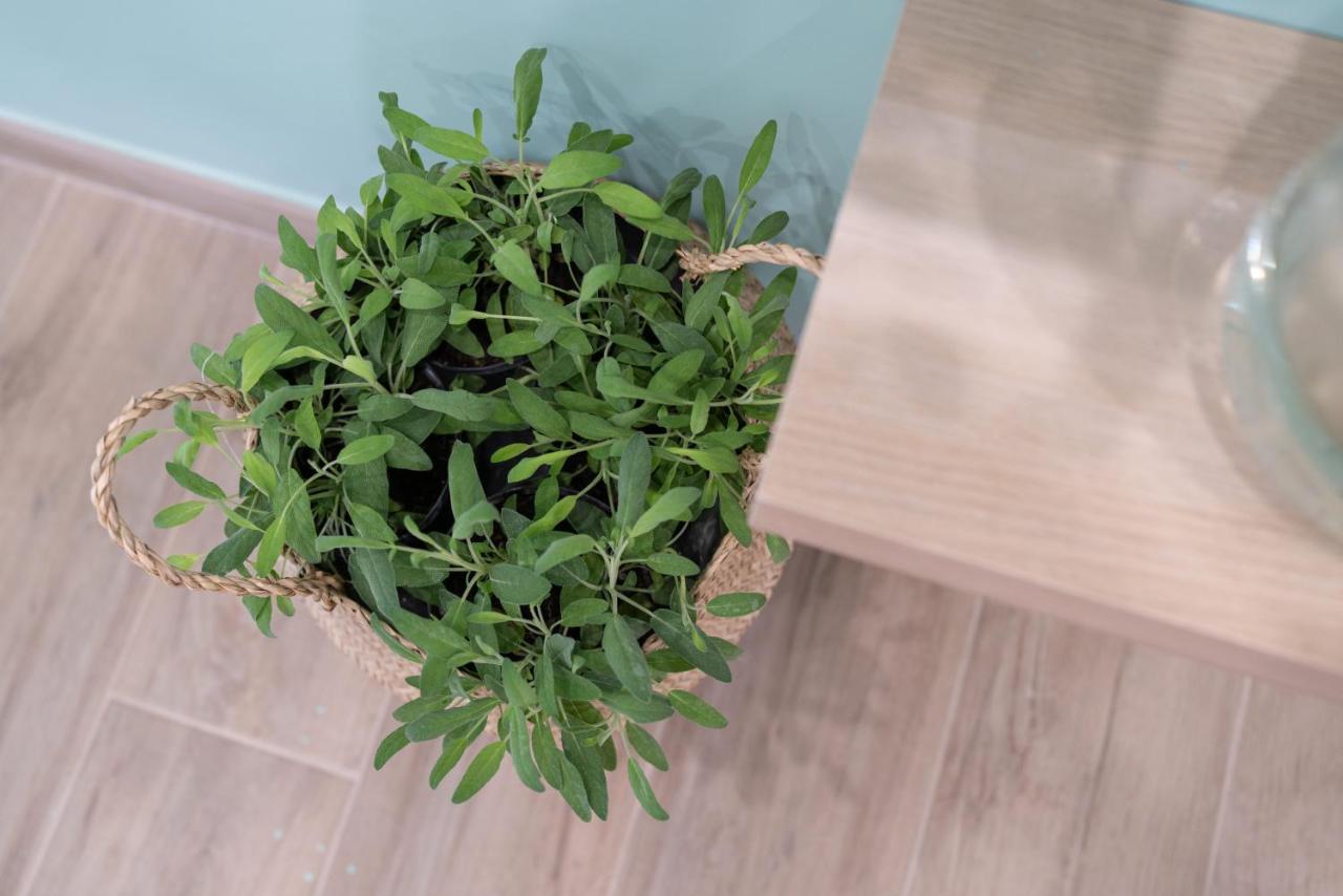 Viva Apartment Półwysep Sorrentyński Zewnętrze zdjęcie